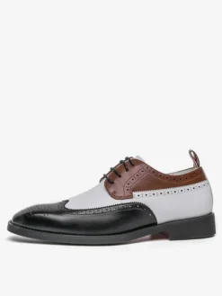 Chaussures habillées pour hommes bout rond talons bas couleurs contrastées derbies