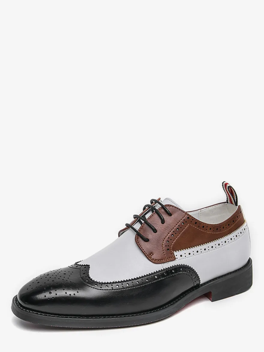 Chaussures habillées pour hommes bout rond talons bas couleurs contrastées derbies