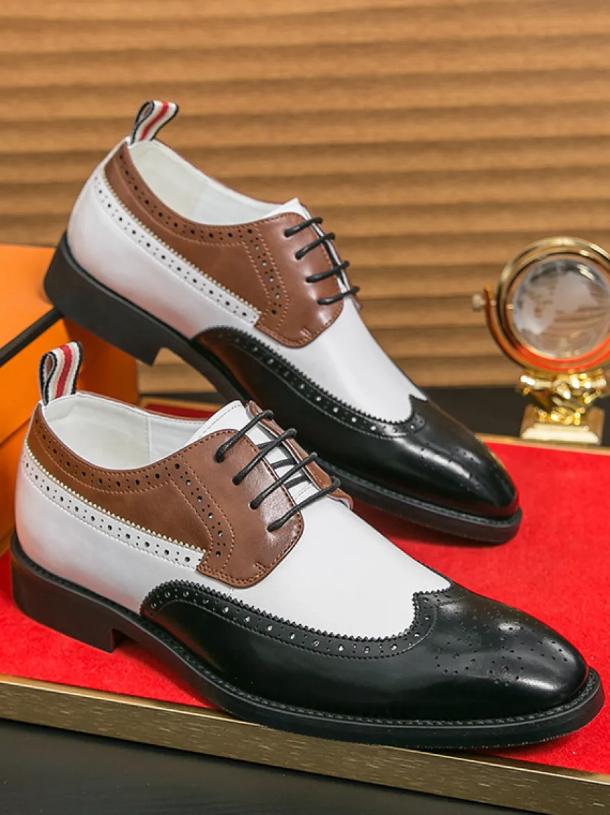 Chaussures habillées pour hommes bout rond talons bas couleurs contrastées derbies