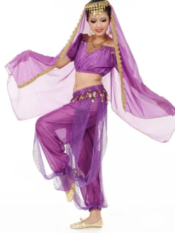 Costume Danse du ventre Charmant en mousseline de soie de danse Bollywood 2026 Robe pour femmes avec le voile Déguisements Halloween