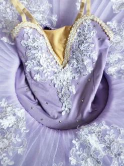 Costume de danse de Ballet pour enfants robes Tutu de ballerine violettes avec appliques de perles