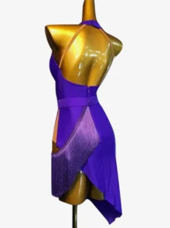 Costume de danse latine bleu Royal pour femmes robe en Lycra et Spandex vêtements de danse élégants pour danseuse latine