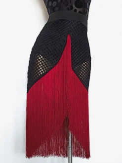 Costume De Danse Latine Jupe Argentée Femmes Sexy Frange Maille