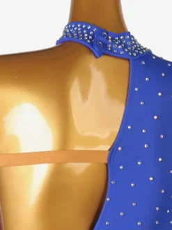 Costume De Danse Latine Manche Longue Une Épaule Nue Bleu Royal Femmes Lycra Spandex Robe Dos Nu Élégant Strass Frange