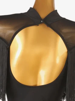 Costume de danse latine noir femmes frange dos nu Lycra Spandex robe Costume de danse
