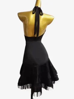 Costume de danse latine noir pour femmes robe en Lycra et spandex Sexy frange vêtements de danse latine