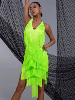 Costume de danse latine pour femmes ensemble à franges robe élégante costume de danse