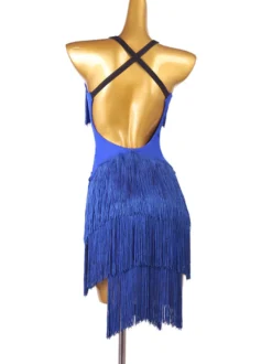 Costume de danse latine robe en polyester pour femmes bleues dos nu Sexy frange danseuse latine vêtements de danse