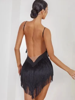 Costume de danse latine vert avocat robe à franges pour femmes robe Sexy en Polyester vêtements de danse