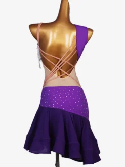 Costume de danse latine violet femmes ensemble Lycra Spandex robe danse Costume Cosplay Costume Halloween