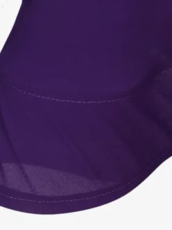 Costume de danse latine violet femmes ensemble Lycra Spandex robe danse Costume Cosplay Costume Halloween