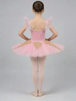 Costumes de danse de Ballet rose fille ballerine Lycra Spandex robe robe vêtements de danse