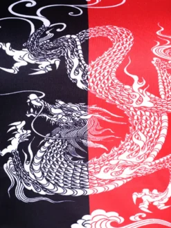 Costumes de danse Ensemble de vêtements de danse imprimé dragon de jazz pour femmes