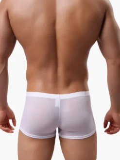 Culotte Sexy Nylon semi Sheer masculine