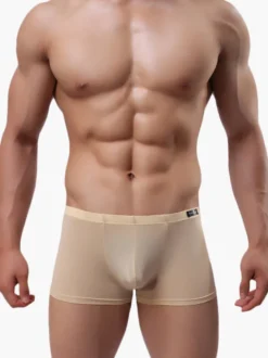 Culotte Sexy Nylon semi Sheer masculine