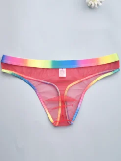 Culotte sexy pour homme Lingerie transparente bleue pour homme