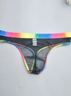 Culotte sexy pour homme Lingerie transparente bleue pour homme