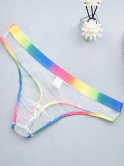Culotte sexy pour homme Lingerie transparente bleue pour homme