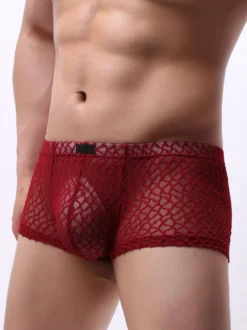 Culotte Sexy Pour Hommes Orange Polyester Boxer Lingerie Hommes Semi-transparents