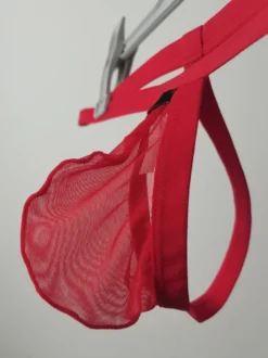 Culotte string sexy en maille rouge transparente pour homme