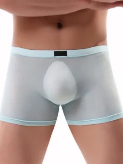 Lingerie Homme Sexy Culotte Boxer Tulle Hommes