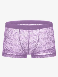 Lingerie Sexy troncs Lace pour hommes