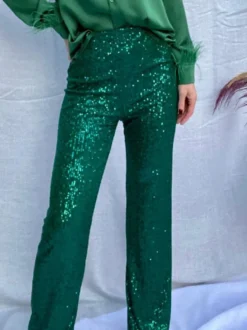Pantalon Paillettes Argentées Taille Haute