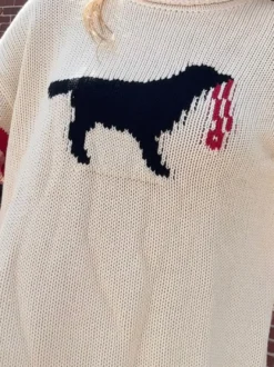 Pull en maille à motif chien pour femme col rond double rayures manches longues amples et ajourées.