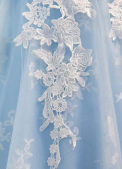 Robe de bal courte broderie en tulle bleu Robe de cérémonie