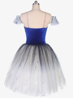 Robe de Ballet Bleue Femme Enfant Ballerine Strass Volants Dentelle Polyester Robe Performance Wear