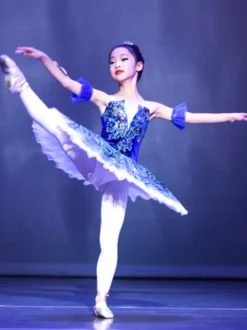 Robe de Ballet bleu profond pour adultes et enfants ballerine à volants en dentelle imprimé Floral en Polyester vêtements de Performance