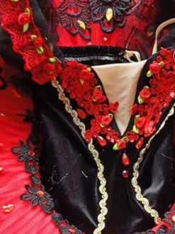 Robe de Ballet rouge fille adulte ballerine strass fleurs dentelle Polyester robe ensemble vêtements de Performance