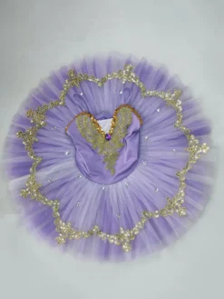 Robe de ballet violette pour fille ornée de dentelle et de sequins idéale pour les spectacles.