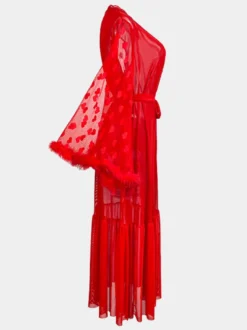 Robe de chambre en soie à manches longues transparente et transparente