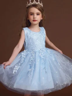 Robe de fille de fleur col rond en dentelle jupe en tulle noeud sur dos à zip robe cortège enfant