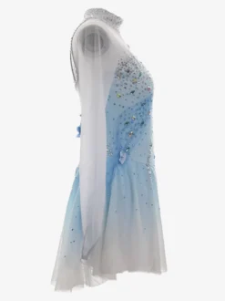 Robe de patinage artistique pour femmes et filles robe de patinage sur glace ultra-élastique tenue d'entraînement et de compétition manches longues classiques ornées de cristaux et de strass