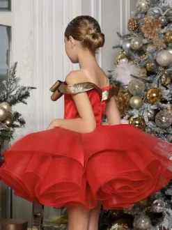 Robe de soirée de Noël pour fille robes d'occasion spéciale sans manches à volants