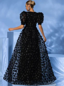 Robe de soirée en organza à col en V et longueur au sol avec appliques