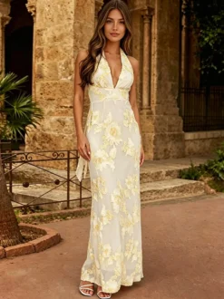 Robe de soirée sirène col V longue sans manches fermeture éclair dentelle robe de soirée en dentelle