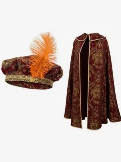 Robe de velours royale et noble de style Renaissance idéale pour un GN médiéval ou un cosplay d'Halloween.