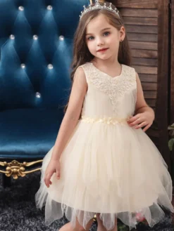 Robe fille de fleur champagne en tulle col rond décoré des perles robe fille cérémonie