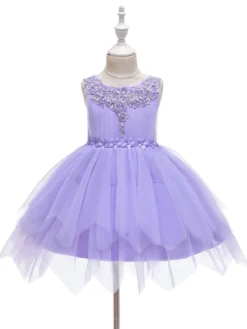 Robe fille de fleur champagne en tulle col rond décoré des perles robe fille cérémonie