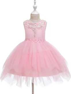 Robe fille de fleur champagne en tulle col rond décoré des perles robe fille cérémonie