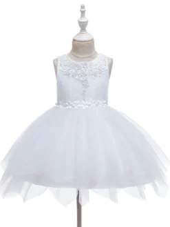 Robe fille de fleur champagne en tulle col rond décoré des perles robe fille cérémonie