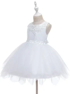 Robe fille de fleur champagne en tulle col rond décoré des perles robe fille cérémonie