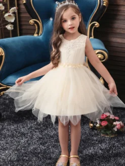 Robe fille de fleur champagne en tulle col rond décoré des perles robe fille cérémonie