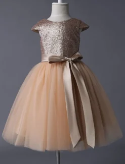 Robe fille de fleur pailleté jupe en tulle zip sur dos Robe d'enfant