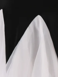 Robes de costume de danse de salon Vêtements de danse noire en organza perlée de femmes noires Déguisements Halloween
