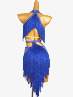 Robes De Danse Latine Bleu Royal Femmes Robe À Franges Costume De Danse