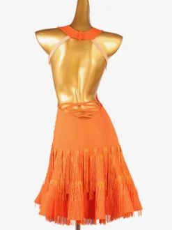Robes De Danse Latine Orange Femmes Robe Frange Danseuse Latine Costume De Danse